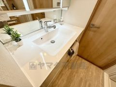 広い洗面ボウル